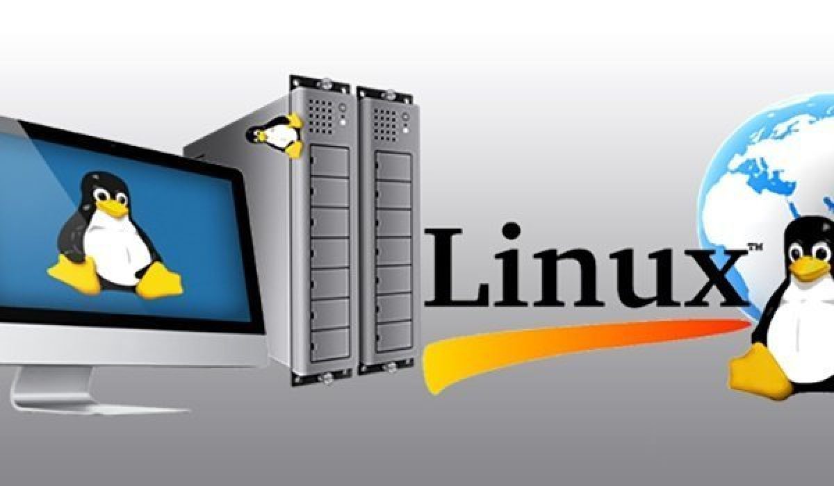 Cloud Hosting Linux là gì? Từ A-Z về dịch vụ Cloud Hosting Linux mới nhất 3
