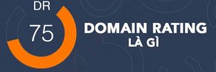 Tìm hiểu domain rating - Những điều cần biết về domain rating 3