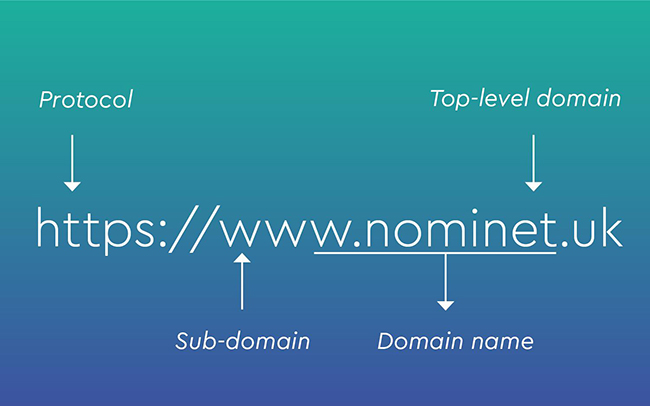 Top level domain là gì? Phân loại cấp độ tên miền chi tiết 2