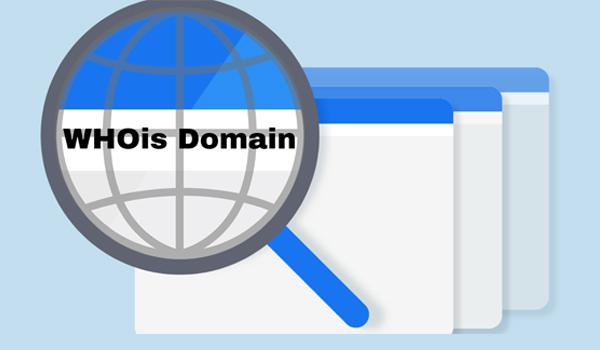Whois domain là gì? Cách kiểm tra nhanh chủ sở hữu tên miền