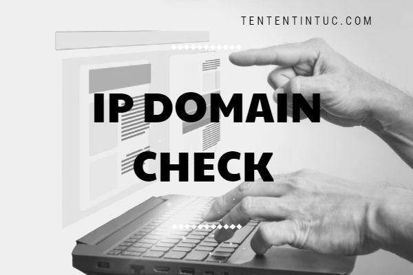 IP domain check là gì? Cách check nhanh IP của domain/website