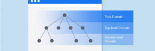 Root domain là gì? Hướng dẫn đăng ký nhanh root domain