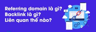 Referring domain là gì? Backlink là gì? Liên quan với nhau thế nào?