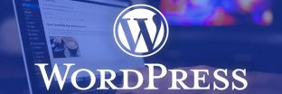 Domain WordPress là gì? Chi tiết từ A-Z về Domain WordPress