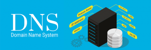 DNS Domain Check và những lưu ý quan trọng ít người biết 2