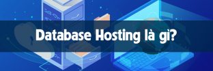 Database Hosting là gì? Tại sao website cần Database Hosting?