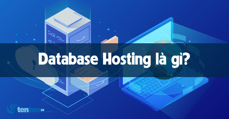 Database Hosting là gì? Tại sao website cần Database Hosting?