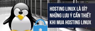 Hosting Linux là gì? Những lưu ý cần thiết khi mua Hosting Linux