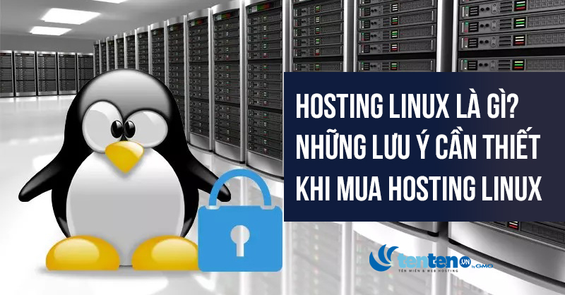 Hosting Linux là gì? Những lưu ý cần thiết khi mua Hosting Linux