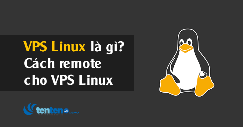 VPS Linux là gì? Cách remote, cách cài directadmin cho VPS Linux