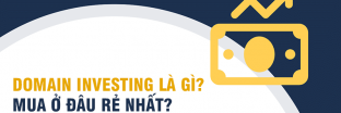 Domain Investing là gì? Mua ở đâu rẻ nhất?
