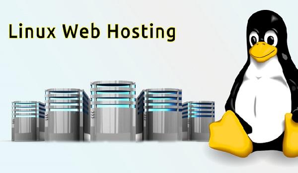 Hosting Linux là gì? Những lưu ý cần thiết khi mua Hosting Linux 3