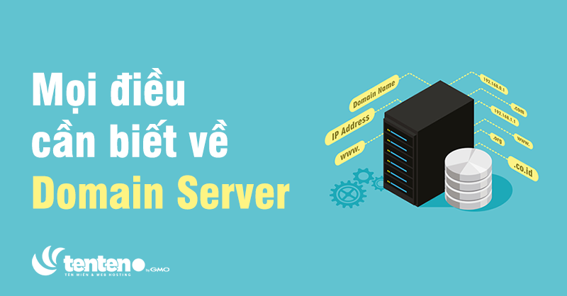 Domain Server là gì? Mọi điều cần biết về Domain Server
