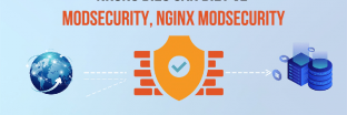 Modsecurity là gì? Những điều cần biết về Modsecurity, Nginx modsecurity
