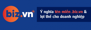 Ý nghĩa tên miền biz vn và lợi thế khi dùng .biz.vn cho doanh nghiệp 2