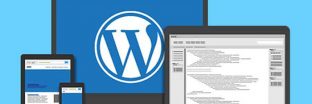 7 thủ thuật cải thiện tốc độ website Wordpress cho người mới 7