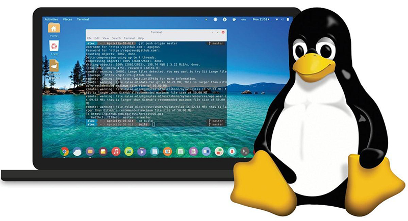 Một số lệnh kiểm tra thông số thường gặp trên hệ thống Linux 5