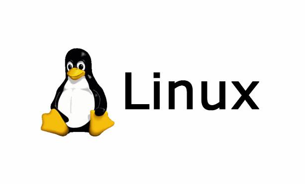 Linux là gì? Hướng dẫn phân quyền trên Linux 4