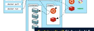 Container là gì? Cách quản lý & bảo mật Container hiệu quả cao