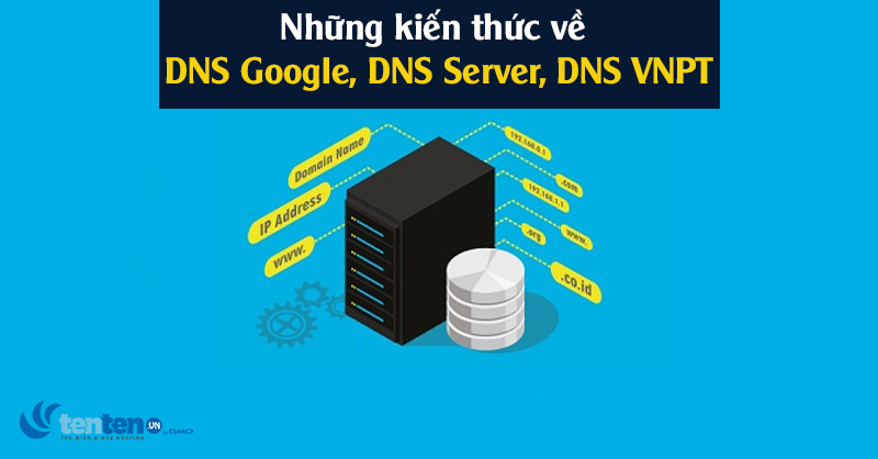 DNS là gì? Từ A-Z về DNS Google, DNS Server, DNS VNPT