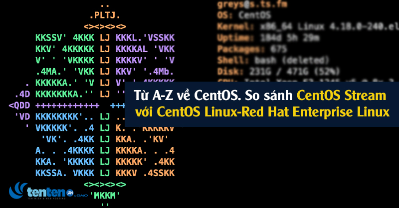 Từ A-Z về CentOS. So sánh chi tiết CentOS Stream với CentOS Linux và Red Hat Enterprise Linux