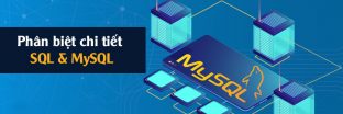 MySQL là gì? Phân biệt chi tiết SQL và MySQL cho người mới