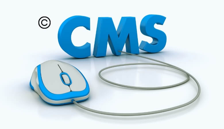 CMS là gì? Chi tiết cách lựa chọn CMS phù hợp cho website 2