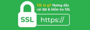 SSL là gì? Hướng dẫn cài đặt & kiểm tra SSL chi tiết