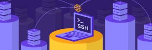 SSH là gì? Một số câu lệnh SSH được sử dụng phổ biến nhất