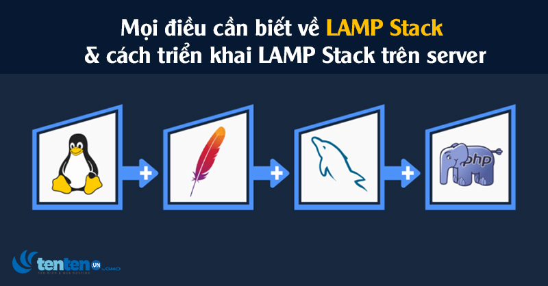 Từ A-Z về LAMP Stack, Cách triển khai LAMP Stack trên server