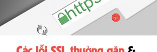 Các lỗi SSL thường gặp và cách khắc phục nhanh chóng