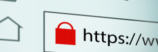 Alpha SSL là gì? Có nên mua chứng chỉ số giá rẻ từ GlobalSign