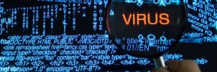 Phân biệt Virus máy tính và sâu máy tính. Cách phòng tránh hiệu quả