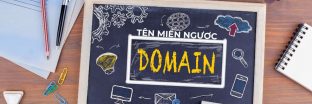 Tên miền ngược