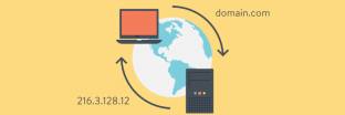 server domain names 1