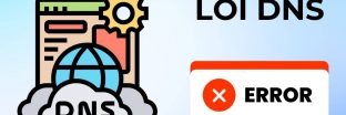 Lỗi dns