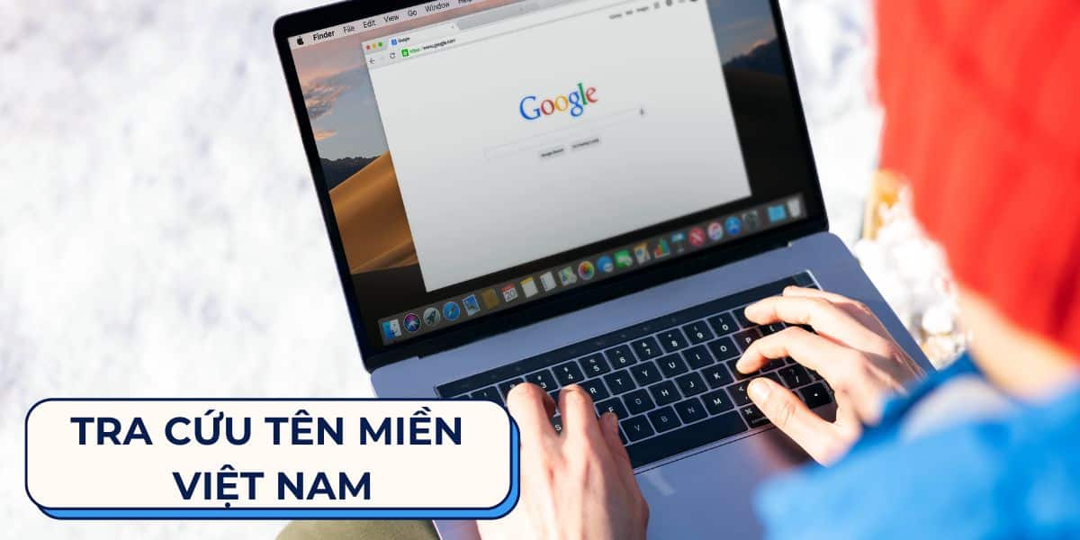 Tra cứu tên miền Việt Nam
